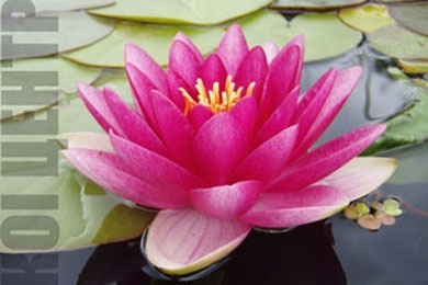 James Brydon | Фото - 0