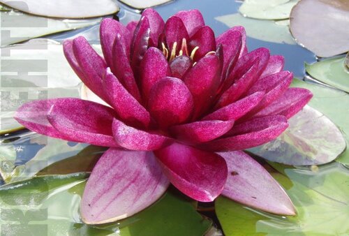 Almost Black | Фото - 0