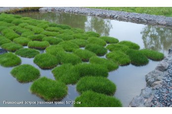 Плавающий остров