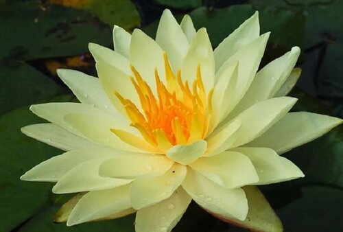 Sunrise | Фото - 0