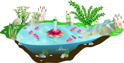 Плавающий термометр FIAP Lotus Active - 40 евро