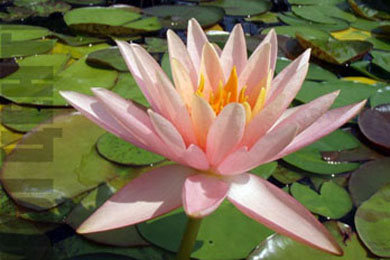 Colorado | Фото - 0